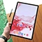 تبلت سامسونگ مدل Galaxy Tab S8 Plus SM-X806B ظرفیت 128 گیگابایت و رم 8 گیگابایت